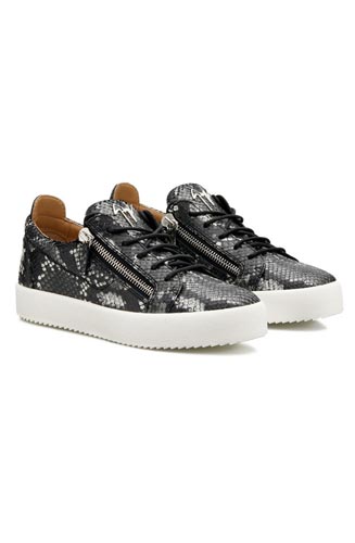 zanotti grise